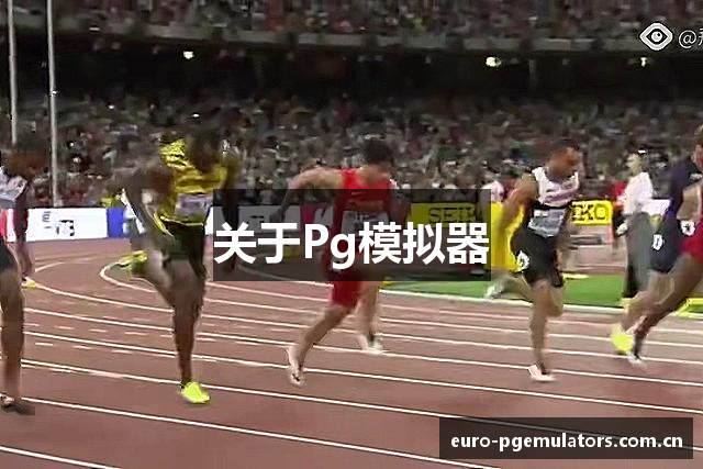 关于Pg模拟器